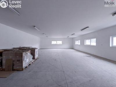 Rent warehouse Teplice, Pražská 3259 č. 1