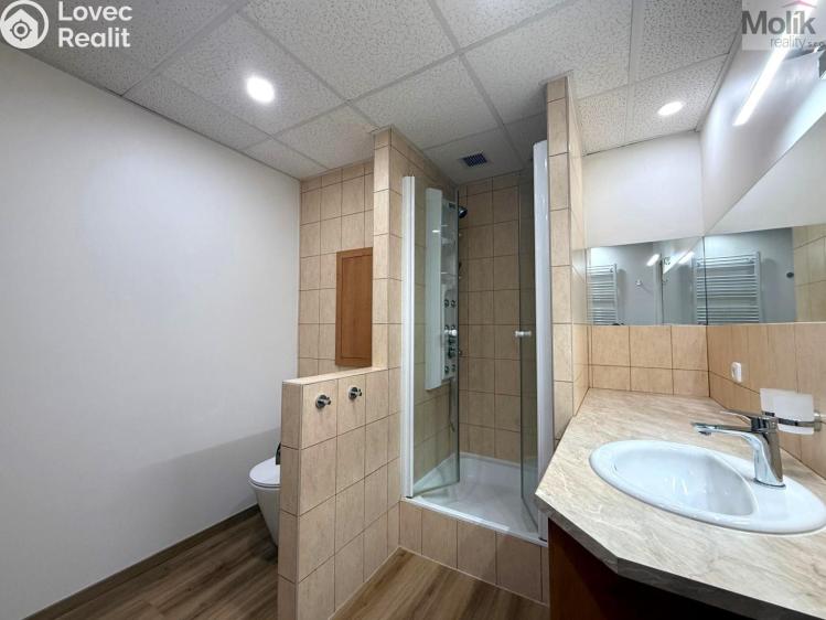 Pronájem bytu 2+1 Most, U Stadionu č. 7