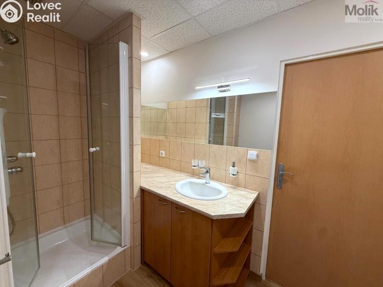 Pronájem bytu 2+1 Most, U Stadionu č. 8