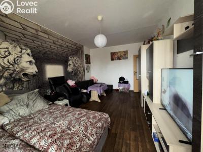 Prodej bytu 2+1 Duchcov, Bydžovského č. 6