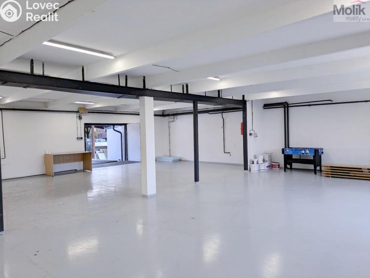 Rent warehouse Ledvice, Mírová 426/46 č. 3