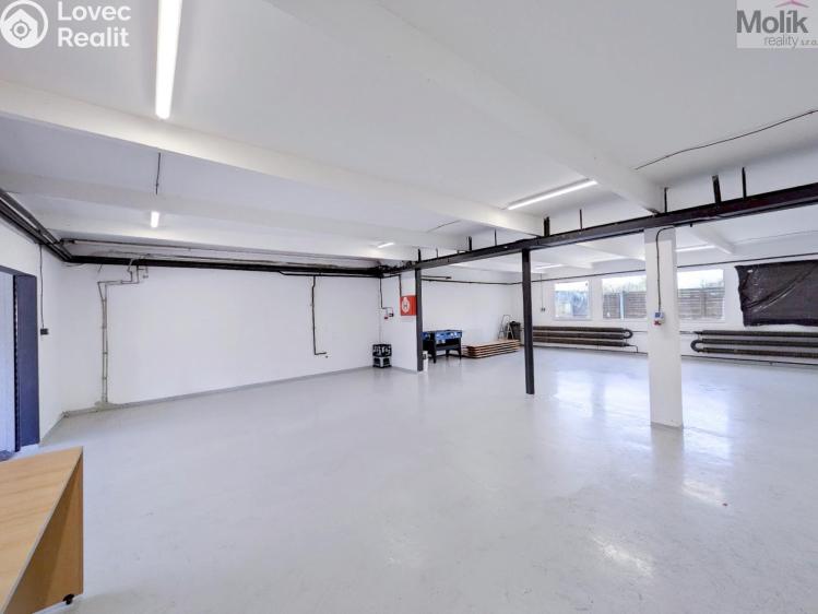 Rent warehouse Ledvice, Mírová 426/46 č. 6