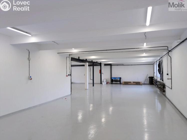 Rent warehouse Ledvice, Mírová 426/46 č. 7