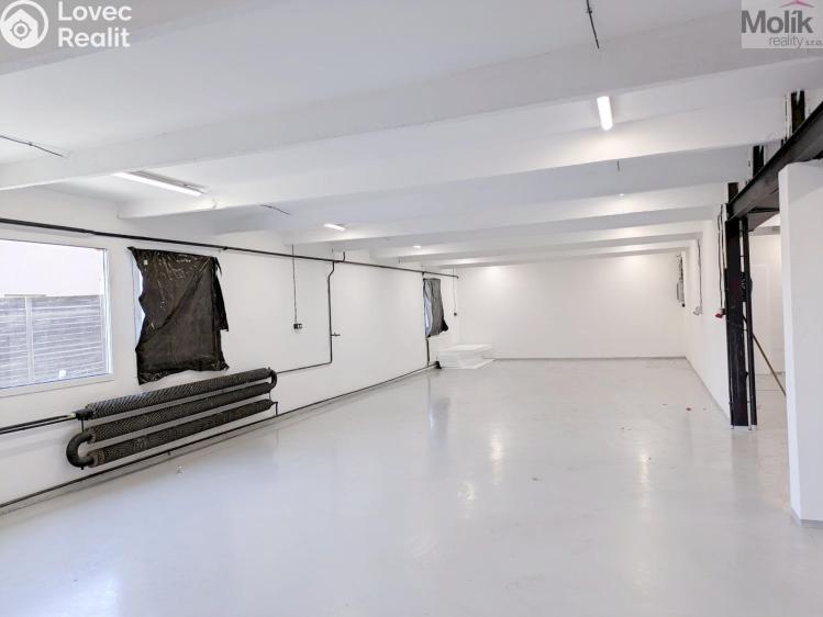 Rent warehouse Ledvice, Mírová 426/46 č. 8