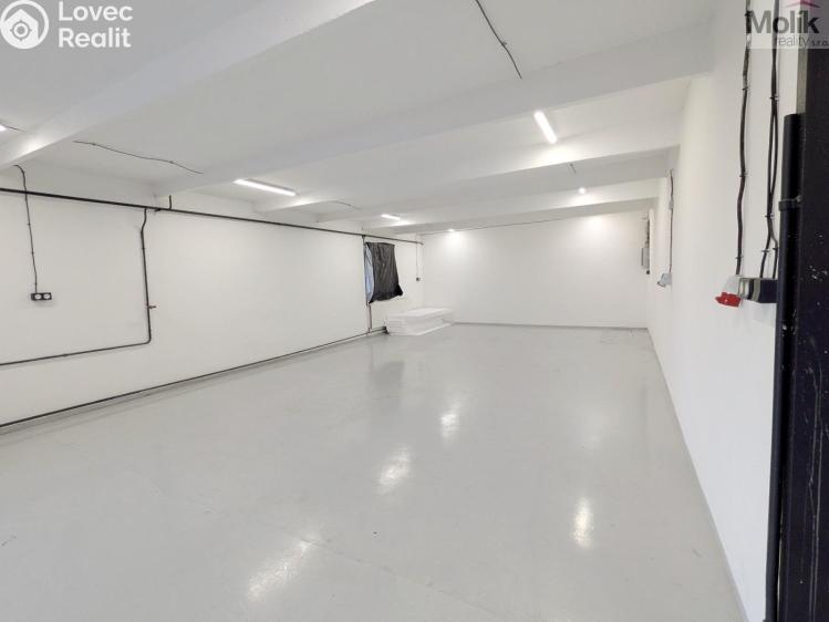 Rent warehouse Ledvice, Mírová 426/46 č. 9