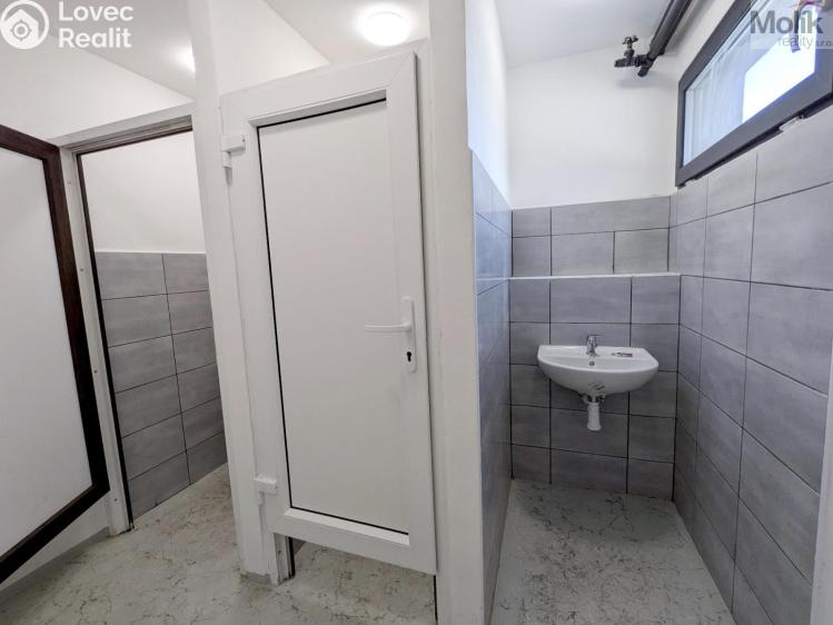 Rent warehouse Ledvice, Mírová 426/46 č. 12