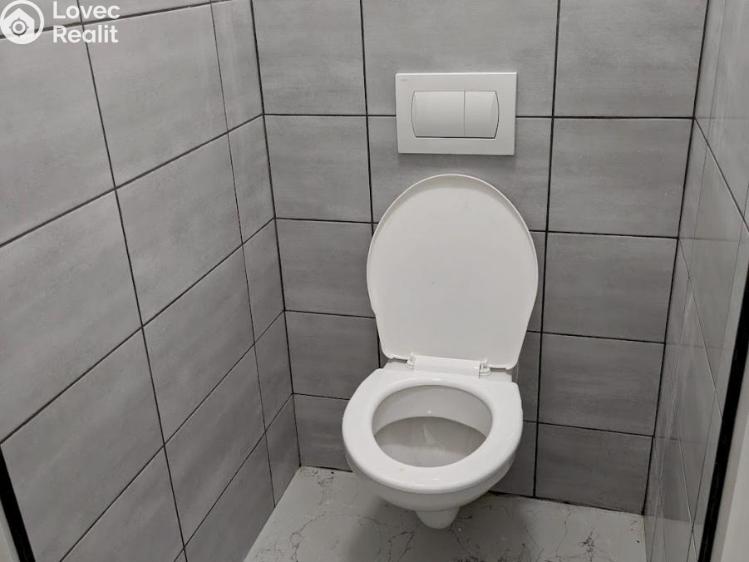 Rent warehouse Ledvice, Mírová 426/46 č. 13