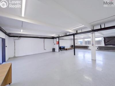 Rent warehouse Ledvice, Mírová č. 6