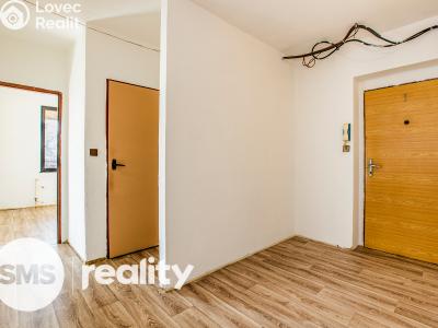 Продажа квартиры 3+1 Nišovice č. 14
