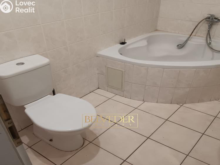 Pronájem bytu 1+1 Teplice, Masarykova třída č. 7