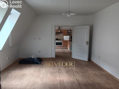 Pronájem bytu 1+1 Teplice, Masarykova třída č. 4