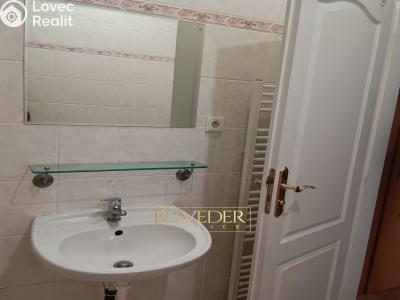 Pronájem bytu 1+1 Teplice, Masarykova třída č. 6