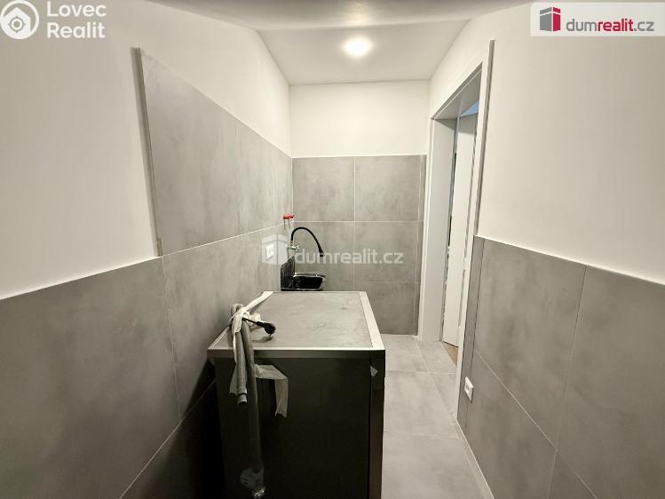 Pronájem rodinného domu Velké Přílepy, Dvořákova č. 28