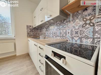 Rent apartment 1+1 Ústí nad Labem, Kosmonautů č. 1