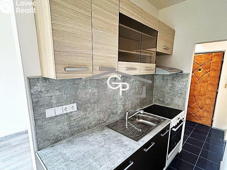 Sale apartment 1+1 Vodňany, Výstavní č. 1