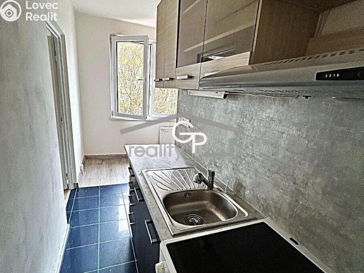 Sale apartment 1+1 Vodňany, Výstavní č. 2