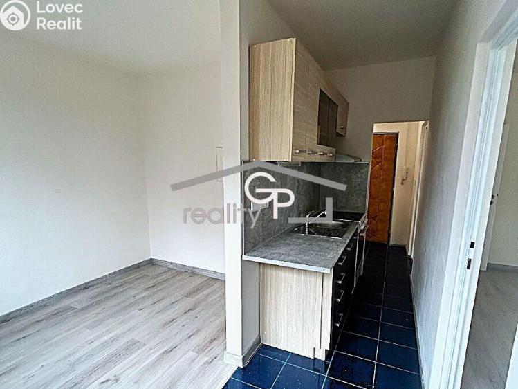 Sale apartment 1+1 Vodňany, Výstavní č. 3