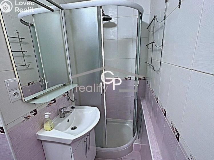 Sale apartment 1+1 Vodňany, Výstavní č. 7