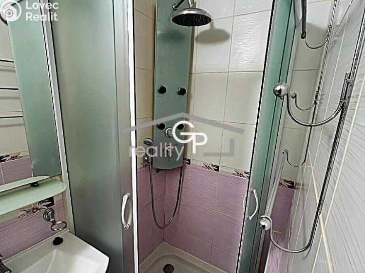 Sale apartment 1+1 Vodňany, Výstavní č. 8