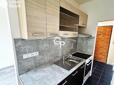 Sale apartment 1+1 Vodňany, Výstavní č. 1