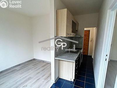 Sale apartment 1+1 Vodňany, Výstavní č. 3