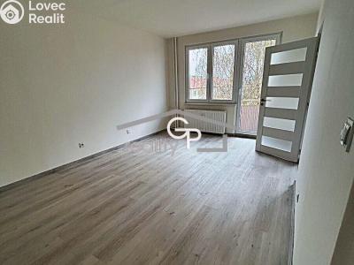 Sale apartment 1+1 Vodňany, Výstavní č. 4