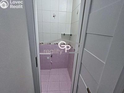 Sale apartment 1+1 Vodňany, Výstavní č. 6