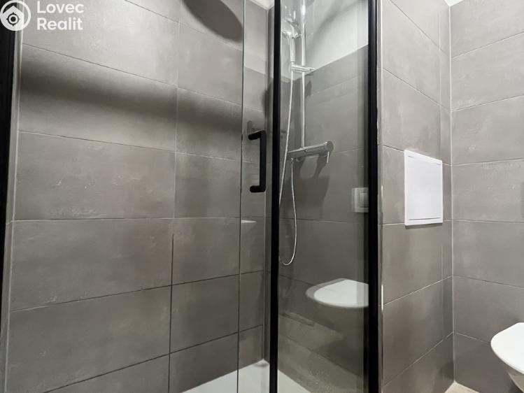 Rent apartment 1+1 Opava, Edvarda Beneše č. 2