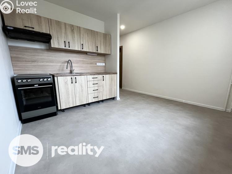 Rent apartment 1+1 Opava, Edvarda Beneše č. 3