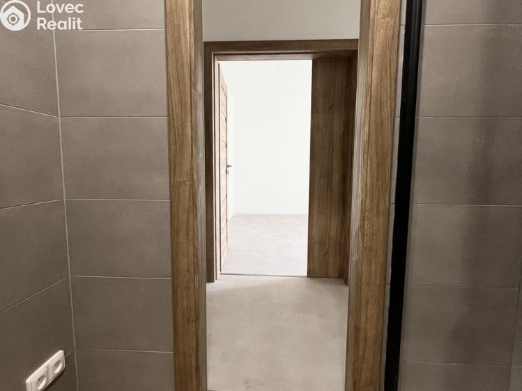 Rent apartment 1+1 Opava, Edvarda Beneše č. 9