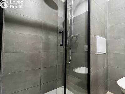 Rent apartment 1+1 Opava, Edvarda Beneše č. 2