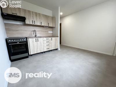 Rent apartment 1+1 Opava, Edvarda Beneše č. 3