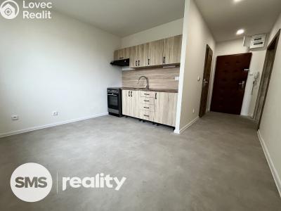 Rent apartment 1+1 Opava, Edvarda Beneše č. 4