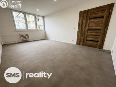 Rent apartment 1+1 Opava, Edvarda Beneše č. 5