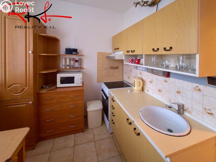 Pronájem bytu 1+1 Štětí, Dohnalova č. 4