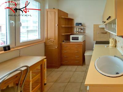 Rent apartment 1+1 Štětí, Dohnalova č. 5