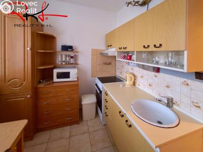 Pronájem bytu 1+1 Štětí, Dohnalova č. 4