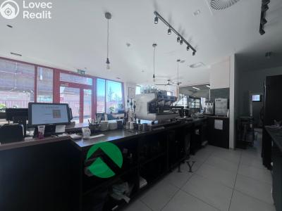 Rent restaurant Praha, Akademická č. 14