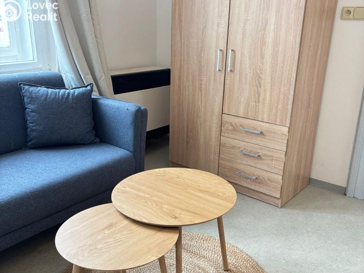 Rent apartment 2+KK Dolní Roveň č. 6