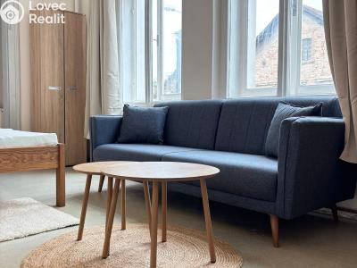 Rent apartment 2+KK Dolní Roveň č. 1