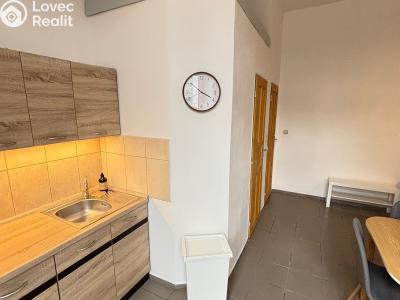 Rent apartment 2+KK Dolní Roveň č. 3