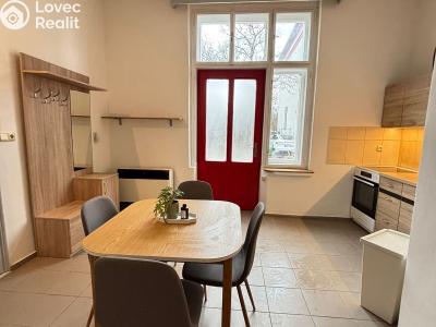 Rent apartment 2+KK Dolní Roveň č. 4