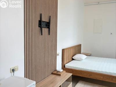 Rent apartment 2+KK Dolní Roveň č. 5