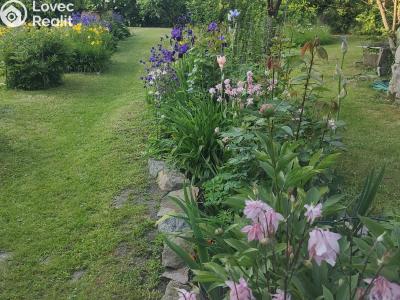 Prodej rodinného domu Moravany č. 3