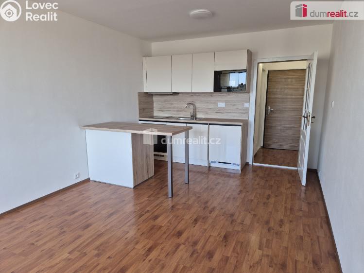 Rent apartment 1+KK České Budějovice, Fr. Ondříčka č. 1