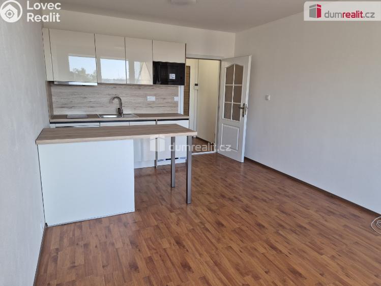 Rent apartment 1+KK České Budějovice, Fr. Ondříčka č. 6