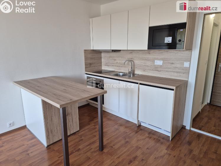 Rent apartment 1+KK České Budějovice, Fr. Ondříčka č. 7