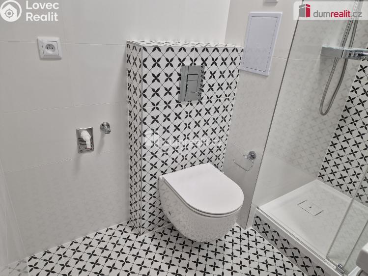 Rent apartment 1+KK České Budějovice, Fr. Ondříčka č. 14