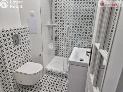 Rent apartment 1+KK České Budějovice, Fr. Ondříčka č. 2