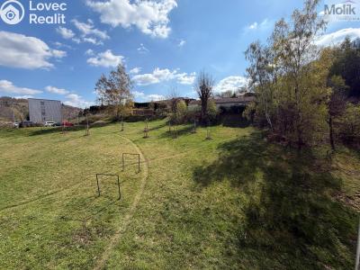 Продажа квартиры 3+1 Meziboří, Nad parkem č. 13